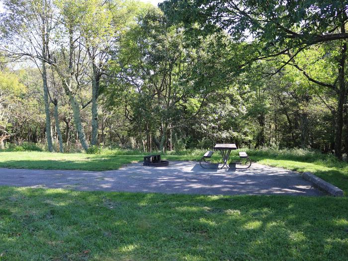 Campsite A79Site has a driveway, tent pad, picnic table, and fire pit. 