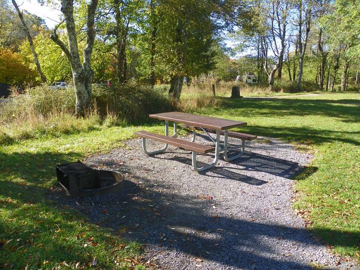 Site A80Site has a driveway, tent pad, picnic table, and fire pit. 