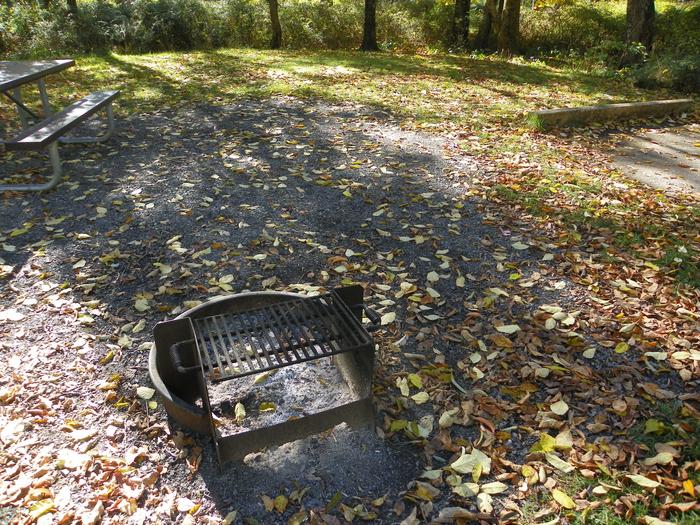 A87Site has a driveway, tent pad, picnic table, and fire pit. 