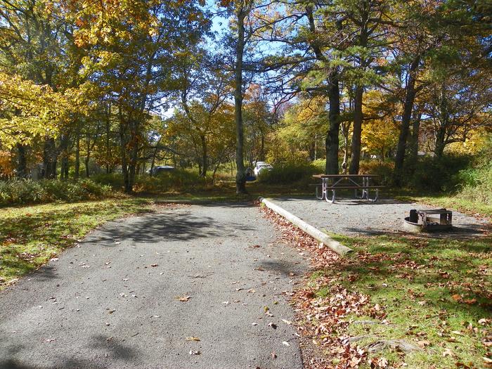 Campsite A95Site has a driveway, tent pad, picnic table, and fire pit. 