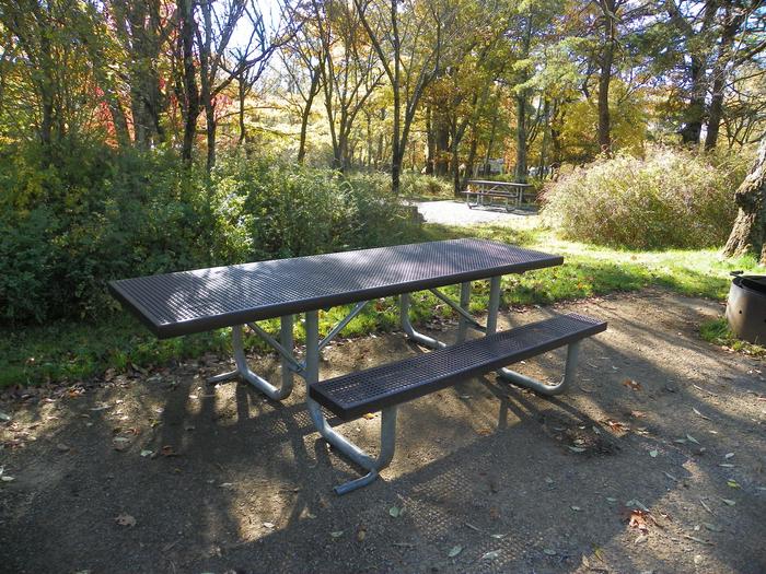 A96 accessible tableSite has extended picnic table to allow better wheelchair access. 