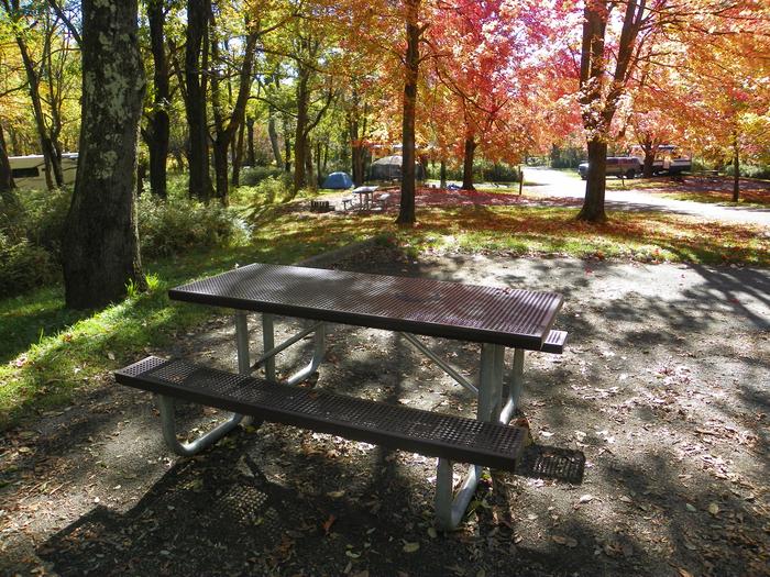Site A102Site has a driveway, tent pad, picnic table, fire pit, and food storage box. 