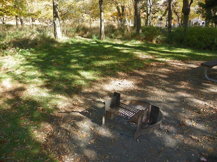 A102 tent padSite has a driveway, tent pad, picnic table, fire pit, and food storage box. 