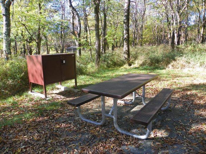 Site A103Site has a driveway, tent pad, picnic table, fire pit, and food storage box. 
