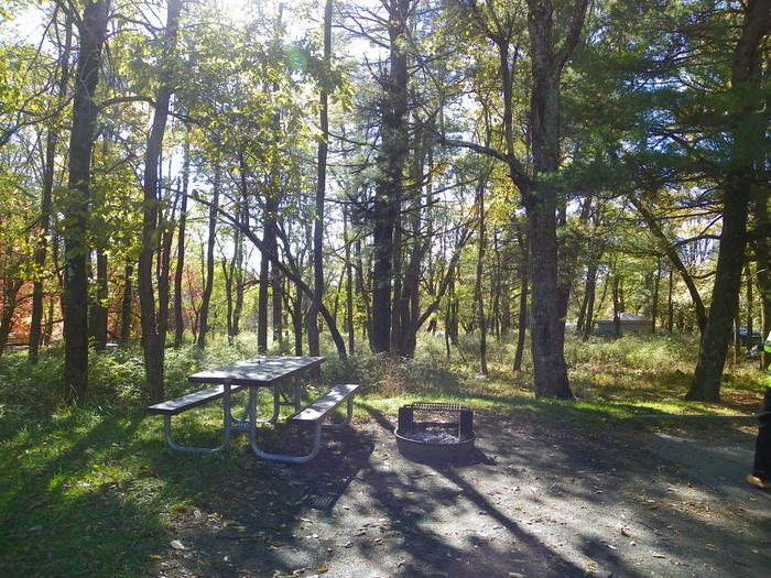 Site A104Site has a driveway, tent pad, picnic table, fire pit, and food storage box. 