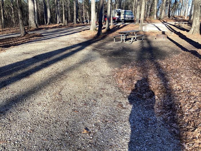 A photo of Site 1 at Youngs Creek Campground with Picnic Table, Fire Pit, and Pull-through Parking
