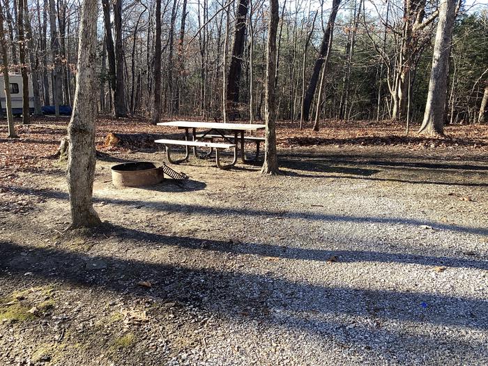 A photo of Site 4 at Youngs Creek Campground with Picnic Table, Fire Pit, Shade