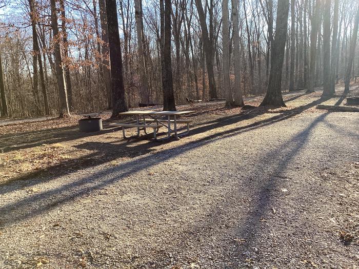 A photo of Site 2 at Youngs Creek Campground with Picnic Table, Fire Pit, Shade
