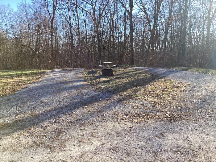 A photo of Site 7 at Youngs Creek Campground with Picnic Table, Fire Pit