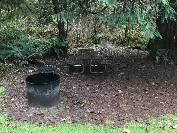 Campsite within forested landscape. Includes picnic bench and firepit.Campsite 17 within Cape Perpetua Campground. Includes paved parking, picnic bend, and firepit.