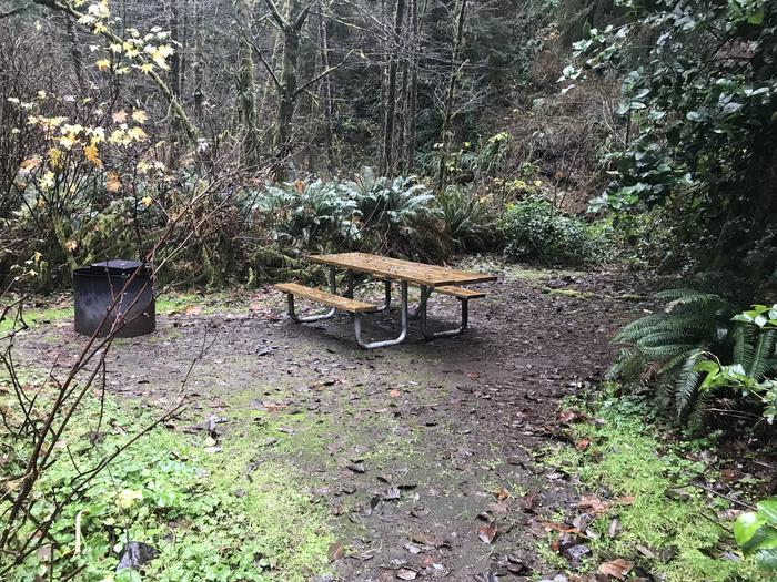 Campsite within forested landscape. Includes picnic bench and firepit.Campsite 18 within Cape Perpetua Campground. Includes paved parking, picnic bench, and firepit.
