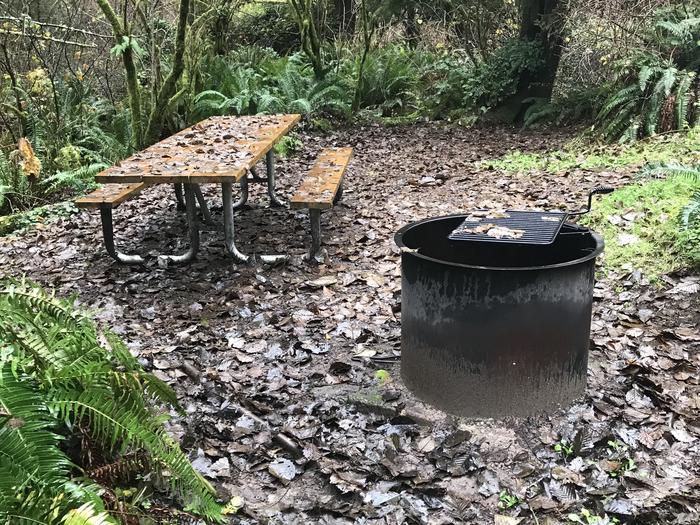 Campsite within forested landscape. Includes paved parking, picnic bench, and firepit.Campsite 19 within Cape Perpetua Campground. Includes paved parking, picnic bench, and firepit.