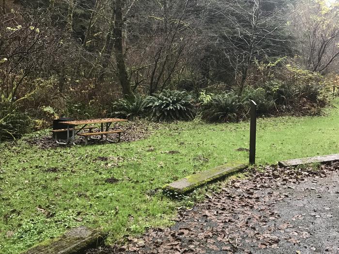 Campsite within grassy forested landscape. Includes paved parking, picnic bench, and firepit.Campsite 20 within Cape Perpetua Campground. Includes paved parking, picnic bench, and firepit.