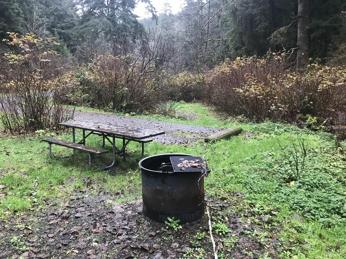 Campsite within grassy landscape. Includes paved parking, picnic bench, and firepit.Campsite 22 within Cape Perpetua Campground. Includes paved parking, picnic bench, and firepit.