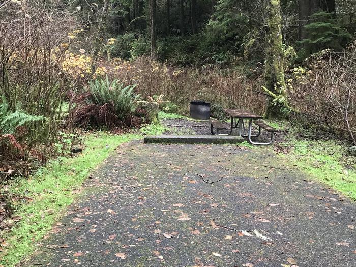 Campsite within grassy landscape. Includes paved parking, firepit, and picnic bench.Campsite 24 within Cape Perpetua Campground. Includes paved parking, picnic bench, and firepit.