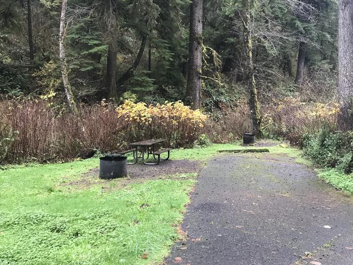 Campsite within forested grassy landscape. Includes paved parking, picnic bench, and firepit.Campsite 25 within Cape Perpetua Campground. Includes paved parking, firepit, and picnic bench.