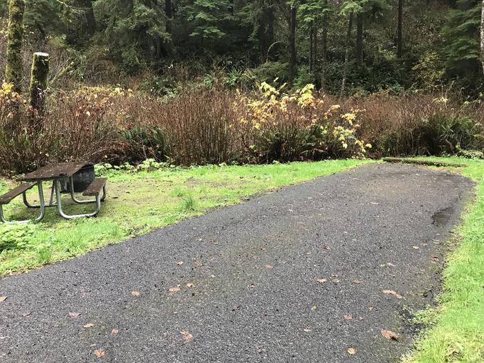 Campsite within grassy landscape. Includes paved parking, firepit, and picnic bench.Campsite 26 within Cape Perpetua Campground. Includes paved parking, picnic bench, and fire pit.