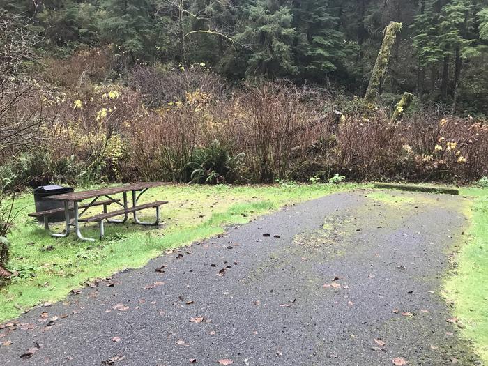 Campsite within grassy landscape. Includes paved parking, picnic bench, and fire pit.Campsite 27 within Cape Perpetua Campground. Includes paved parking, picnic bench, and fire pit.
