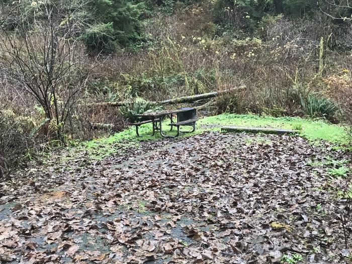 Campsite within forested landscape. Includes paved parking, picnic bench, and fire pit.Campsite 28 within Cape Perpetua Campground. Includes paved parking, firepit, and picnic bench.