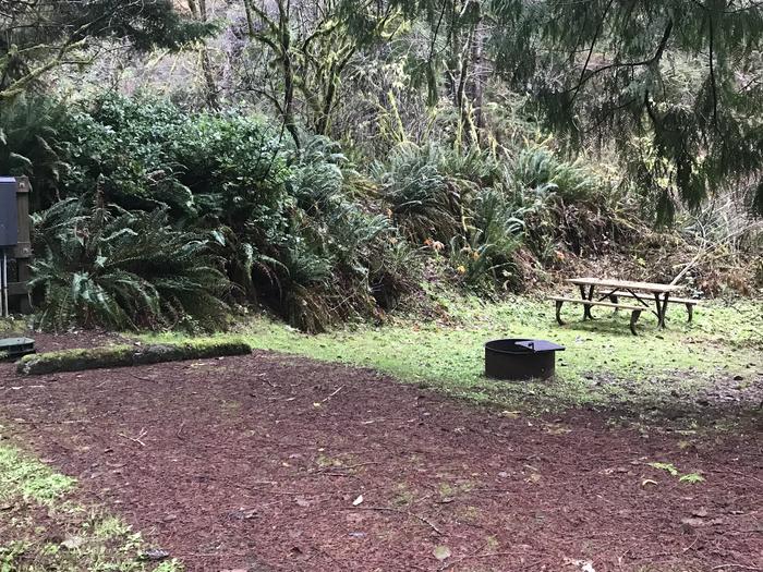 Campsite within shrubbed grassy landscape. Includes paved parking, picnic bench, and firepit. Campsite 29 within Cape Perpetua Campground. Includes paved parking, picnic bench, and firepit.