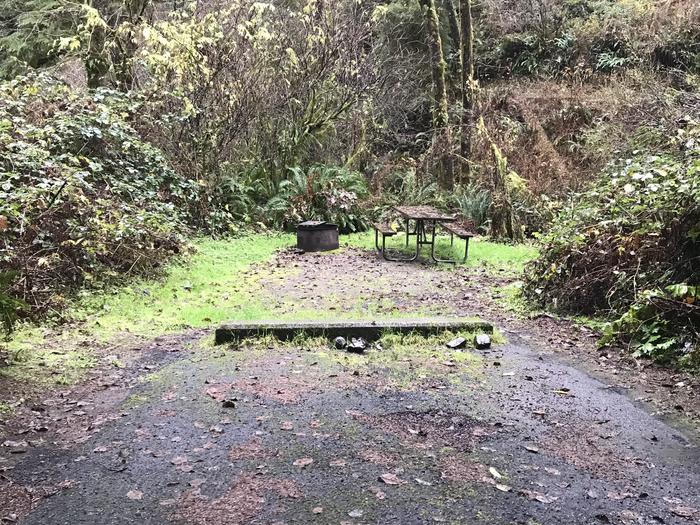 Campsite within forested landscape. Includes paved parking, picnic bench, and firepit.Campsite 30 within Cape Perpetua Campground. Includes paved parking, firepit, and picnic bench.