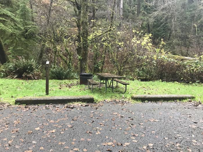 Campsite within grassy forested landscape. Includes paved parking, picnic bench, and firepit.Campsite 31 within Cape Perpetua Campground. Includes paved parking, firepit, and picnic bench.