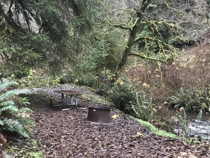 Campsite within forested landscape neighboring river. Includes picnic bench and firepit.Campsite 33 within Cape Perpetua Campground. Includes paved parking, firepit, and picnic bench.