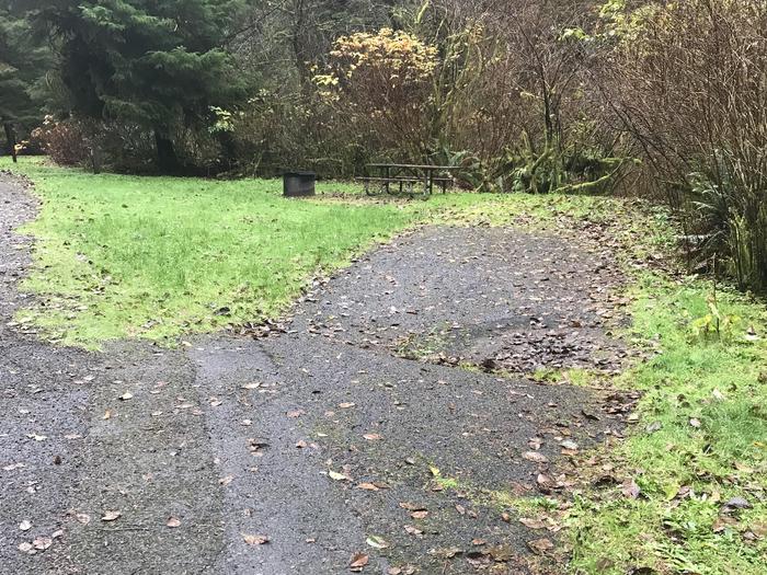Campsite within grassy forested landscape. Includes paved parking, firepit, and picnic bench.Campsite 34 within Cape Perpetua Campground. Includes paved parking, firepit, and picnic bench.