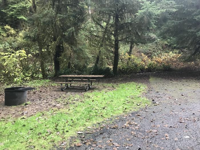 Campsite within forested landscape. Includes paved parking, picnic bench, and firepit.Campsite 36 within Cape Perpetua Campground. Includes paved parking, picnic bench, and firepit.