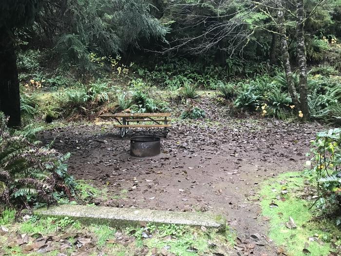 Campsite within forested landscape. Includes firepit and picnic bench.Campsite 37 within Cape Perpetua Campground. Includes paved parking, firepit, and picnic bench.