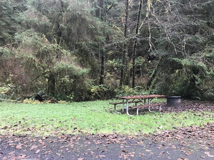Campsite within forested grassy landscape. Includes paved parking, picnic bench, and firepit.Campsite 38 within Cape Perpetua Campground. Includes paved parking, firepit, and picnic bench.
