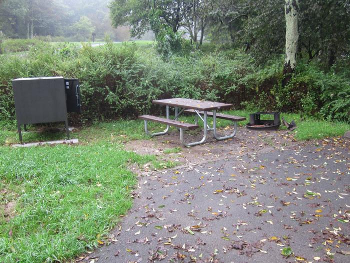 Campsite B105Site has a driveway, tent pad, picnic table, fire pit, and food storage box. 