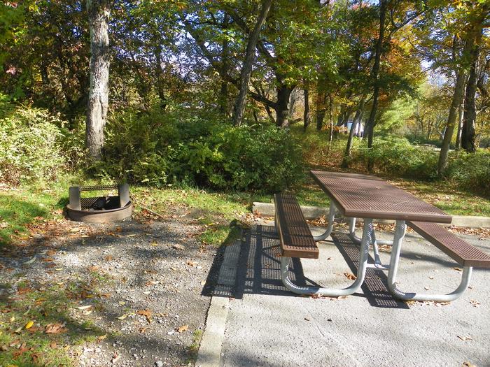 Campsite B105 Site has a driveway, tent pad, picnic table, fire pit, and food storage box. 