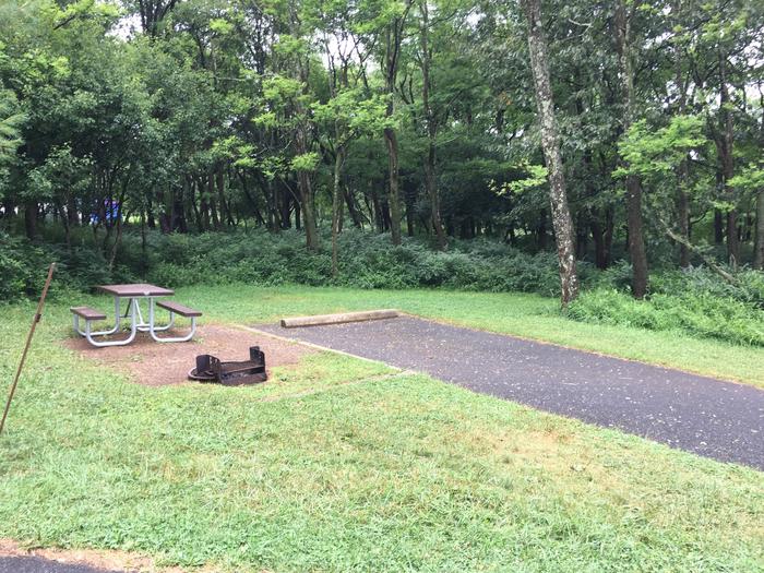 Campsite B110Site has a driveway, tent pad, picnic table, fire pit, and food storage box. 