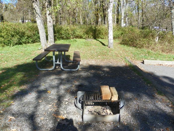 Campsite B114Site has a driveway, tent pad, picnic table, and fire pit. 