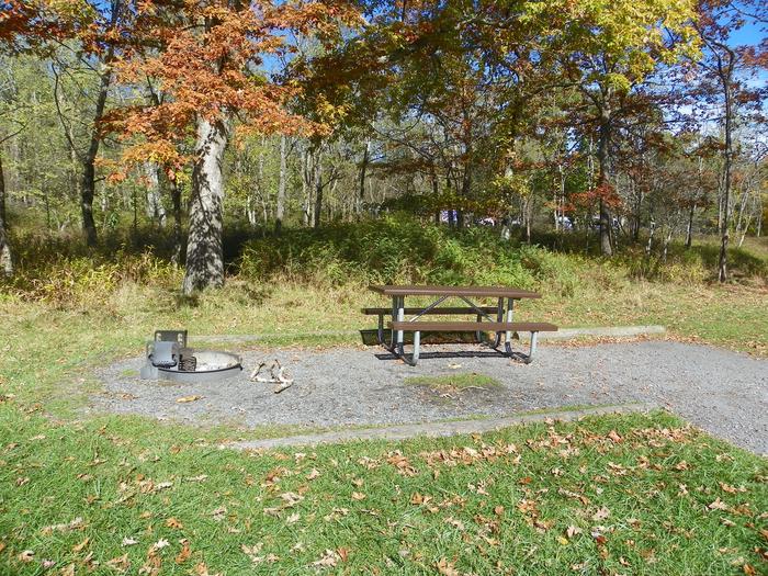 Campsite B116Site has a driveway, tent pad, picnic table, and fire pit. 
