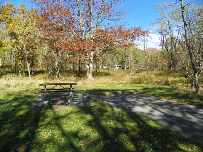 Campsite B118Site has a driveway, tent pad, picnic table, and fire pit. 