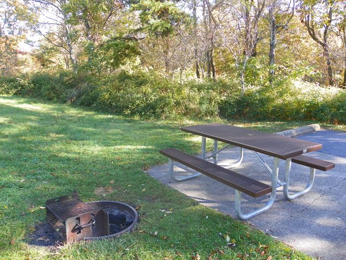 Campsite C130Site has a driveway, tent pad, picnic table, and fire pit. 