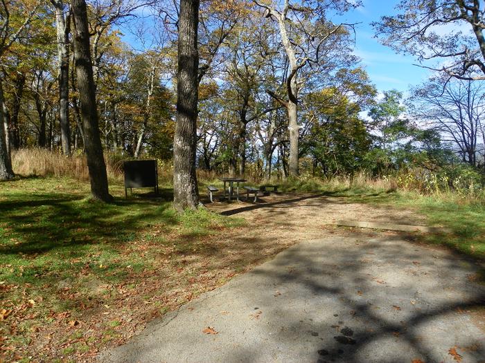 Site E 185Site has a driveway, tent pad, picnic table, fire pit, and food storage box. 