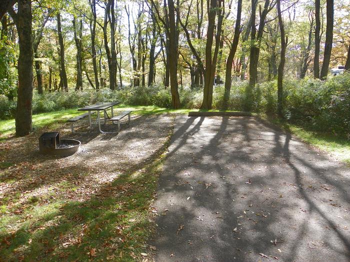 Campsite E194Site has a driveway, tent pad, picnic table, and fire pit. 