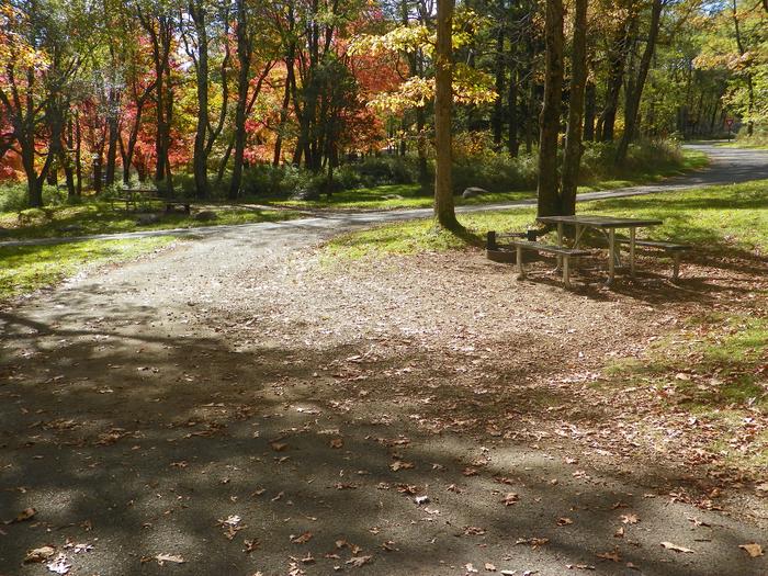 Campsite F199Site has a driveway, tent pad, picnic table, and fire pit. 