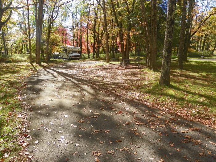 Campsite F200Site has a driveway, tent pad, picnic table, and fire pit. 