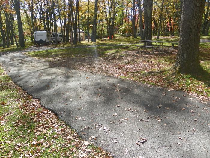 G206Site has a driveway, tent pad, picnic table, and fire pit. 