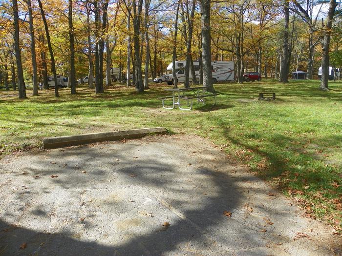 Site H213Site has a driveway, tent pad, picnic table, and fire pit. 