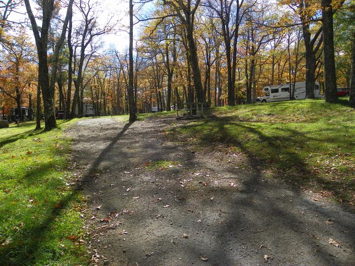 Campsite I223Site has a driveway, tent pad, picnic table, and fire pit. 