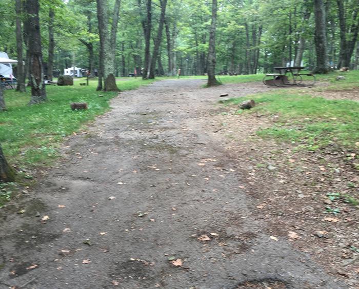 Campsite I223Site has a driveway, tent pad, picnic table, and fire pit. 