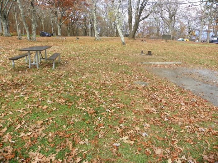 Campsite I222Site has a driveway, tent pad, picnic table, and fire pit. 