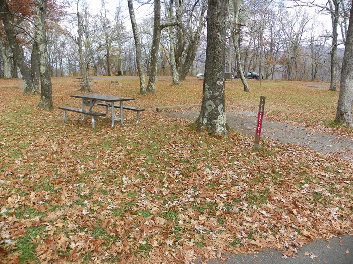 Campsite i220Site has a driveway, tent pad, picnic table, and fire pit. 