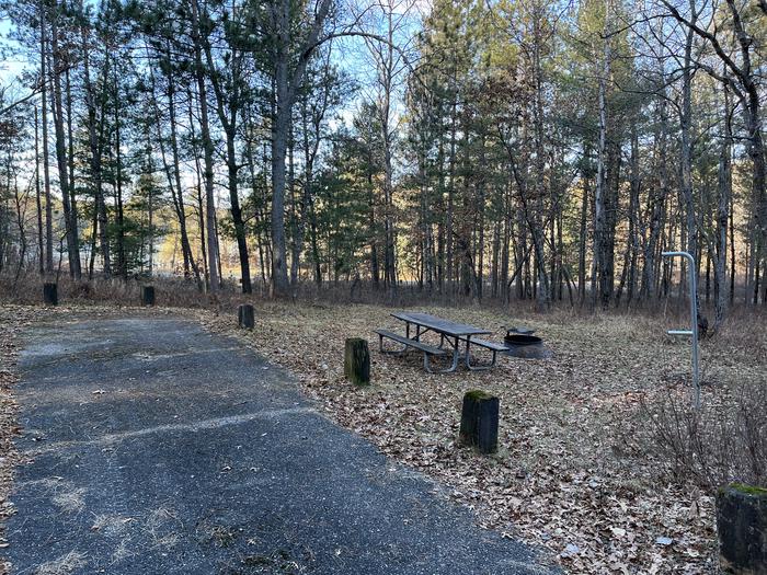 A photo of Site 12 of Loop Wagner Lake at Wagner Lake (MI) with Picnic Table, Fire Pit, Lantern Pole
