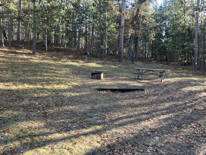 A photo of Site 11 of Loop Wagner Lake at Wagner Lake (MI) with Picnic Table, Fire Pit